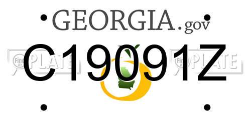 C19091Z Georgia License Plate