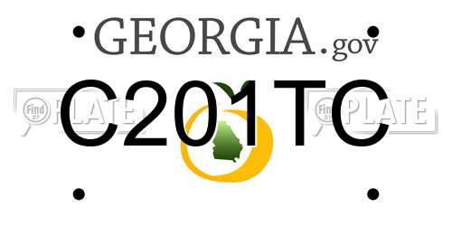 C201TC Georgia License Plate
