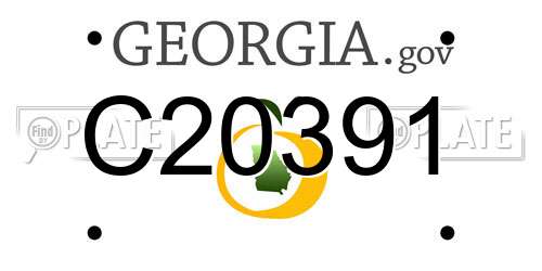 C20391 Georgia License Plate