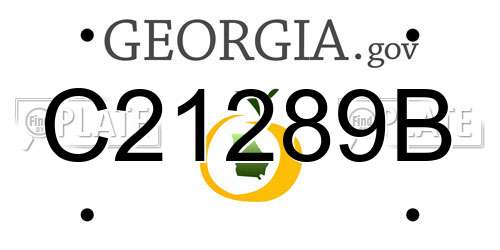 C21289B Georgia License Plate