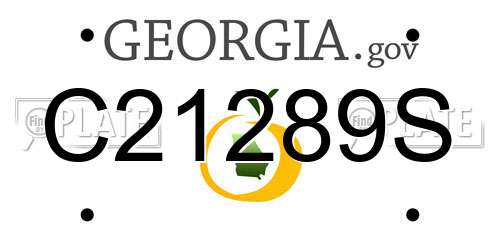 C21289S Georgia License Plate
