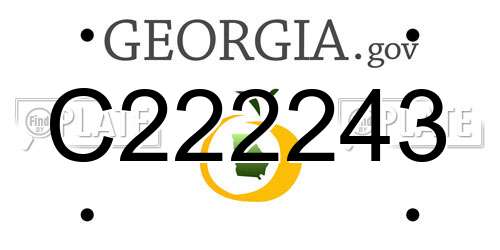 C222243 Georgia License Plate