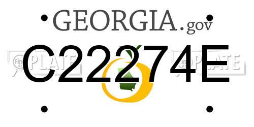 C22274E Georgia License Plate