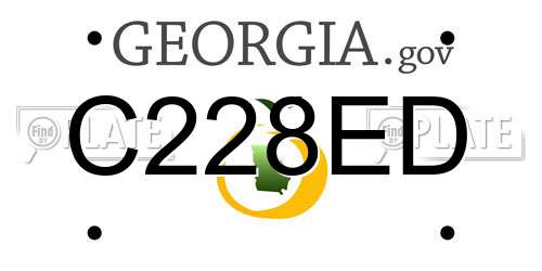 C228ED Georgia License Plate