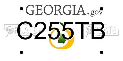 C255TB Georgia License Plate