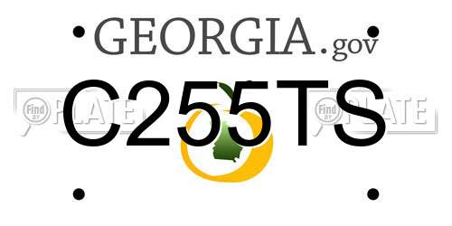 C255TS Georgia License Plate