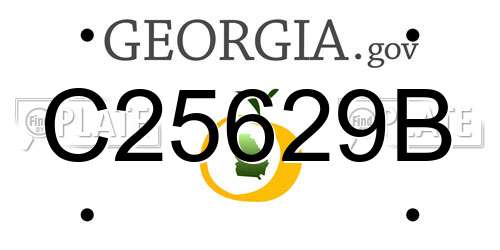 C25629B Georgia License Plate