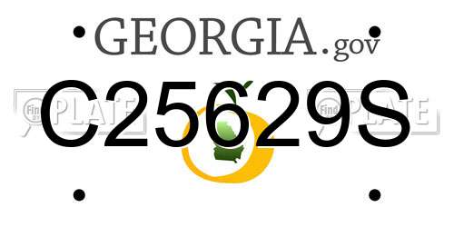 C25629S Georgia License Plate