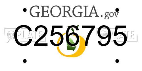 C256795 Georgia License Plate