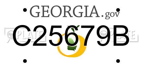 C25679B Georgia License Plate