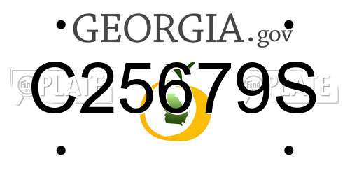 C25679S Georgia License Plate