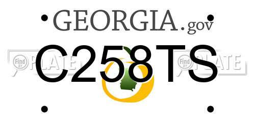 C258TS Georgia License Plate