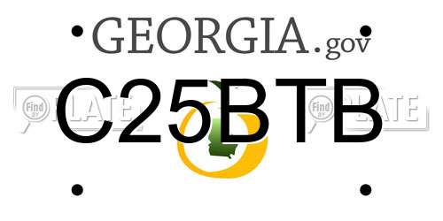 C25BTB Georgia License Plate