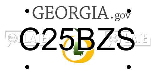 C25BZS Georgia License Plate