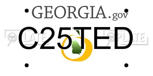 C25TED Georgia License Plate