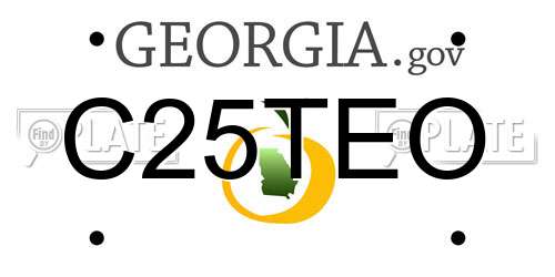 C25TEO Georgia License Plate