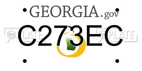 C273EC Georgia License Plate
