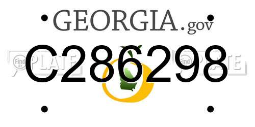 C286298 Georgia License Plate