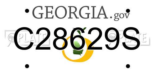C28629S Georgia License Plate