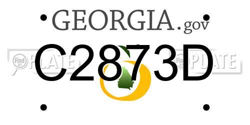 C2873D Georgia License Plate