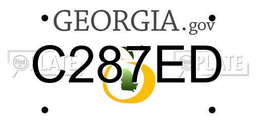 C287ED Georgia License Plate