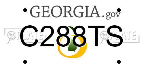 C288TS Georgia License Plate