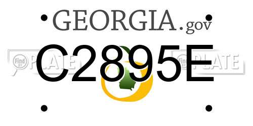 C2895E Georgia License Plate