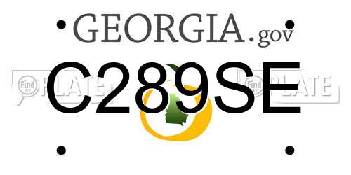 C289SE Georgia License Plate