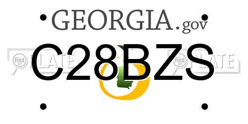C28BZS Georgia License Plate