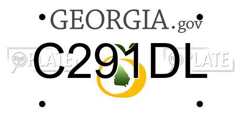 C291DL Georgia License Plate