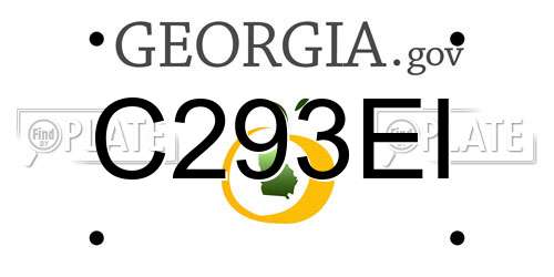 C293EI Georgia License Plate