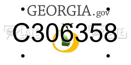 C306358 Georgia License Plate