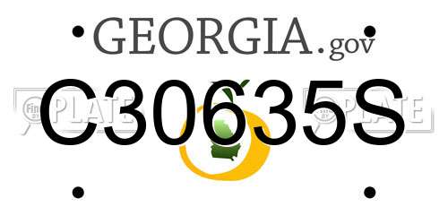 C30635S Georgia License Plate