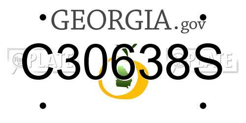 C30638S Georgia License Plate