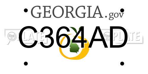 C364AD Georgia License Plate