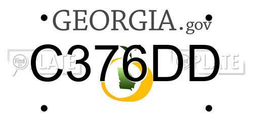 C376DD Georgia License Plate