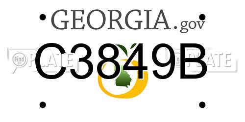 C3849B Georgia License Plate