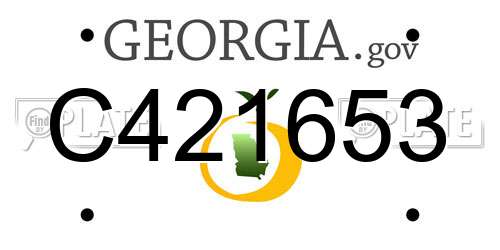 C421653 Georgia License Plate