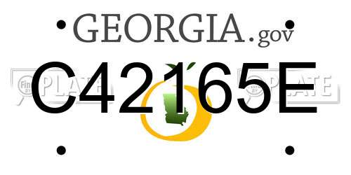 C42165E Georgia License Plate