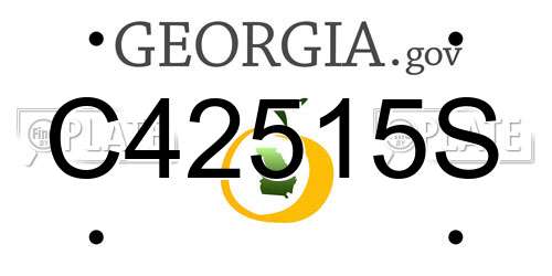 C42515S Georgia License Plate