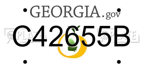 C42655B Georgia License Plate