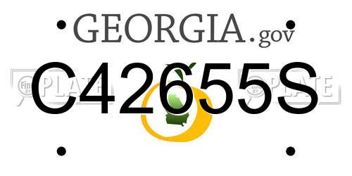 C42655S Georgia License Plate