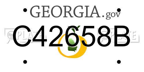 C42658B Georgia License Plate