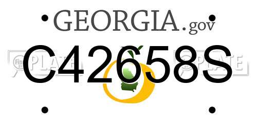 C42658S Georgia License Plate