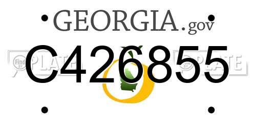 C426855 Georgia License Plate