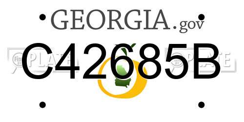 C42685B Georgia License Plate