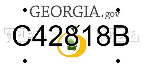 C42818B Georgia License Plate