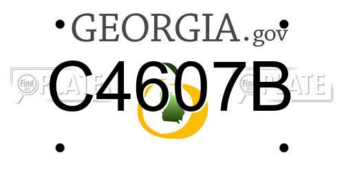 C4607B Georgia License Plate