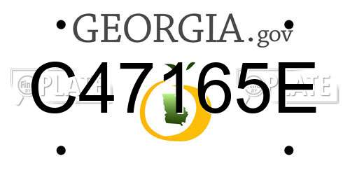 C47165E Georgia License Plate
