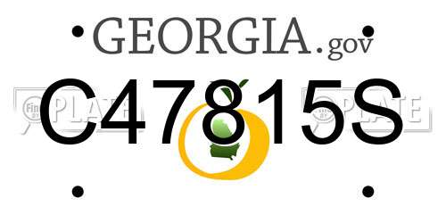 C47815S Georgia License Plate